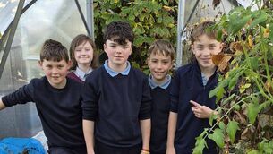 <p>Fifth Class pupils from Abbeycartron NS, Elphin were busy giving a helping hand cleaning out the Tidy Towns polytunnel after all the great growth over the spring and summer.</p> <p>Fifth Class pupils from Abbeycartron NS, Elphin were busy giving a helping hand cleaning out the Tidy Towns polytunnel after all the great growth over the spring and summer.</p>